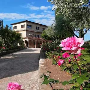 Paradiso Bed and Breakfast
